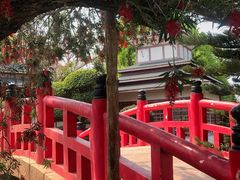 -丹樱生态园