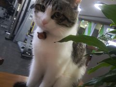 -迈劲健身专业私教(朝青汇店)