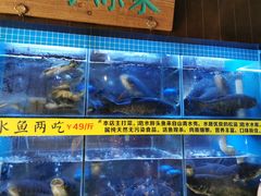 水产区-帅巴人舅母子腊蹄民俗村
