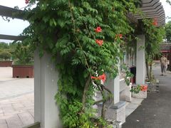 景点-嬉乐湾休闲旅游区
