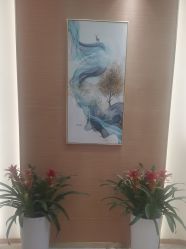 -雅曼妮spa美容养生