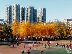 -辽宁大学(崇山校区)