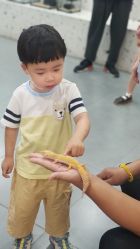 -Moni星球萌宠·小马宝莉·灵蛇·高端高阶全萌宠互动体验俱乐部(红豆国际广场店)