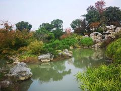-桐乡植物园