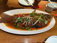 蔡家功夫鱼-蔡家酒楼(一德街店)