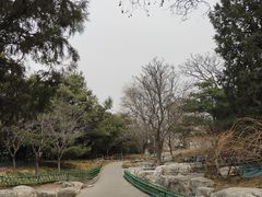 -宣武艺园
