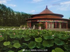 -二一九公园