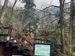-宁海森林温泉