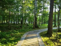 -长白山万达国际度假区