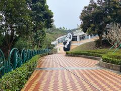 -石排湾郊野公园