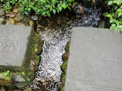 -成都市活水公园