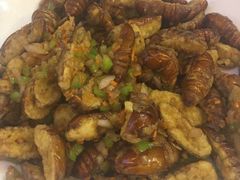 开边蚕蛹-东北佬菜馆(斗东店)