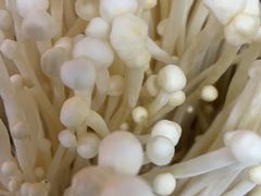 金针菇-蜀大侠火锅(四川北路店)