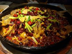 -老板恋上鱼(恒隆广场店)