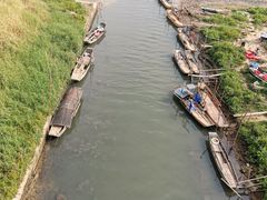 -羚羊峡古栈道森林公园