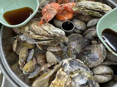 -日照海滨国家森林公园