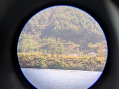 -河口景区