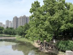 -堤角公园