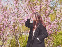 -春花秋色城市公园