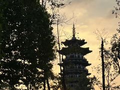 -洋湖国家湿地公园