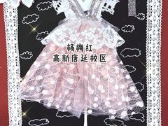-杨梅红艺术教育(西安高新唐延教学中心)