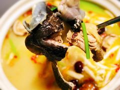 -金龙·打边炉(南京西路店)