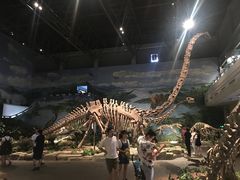 -自贡恐龙博物馆