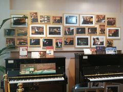 -柏斯琴行(汾阳店)