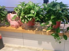 -乐山冰粉·狼牙土豆(竹溪湾店)