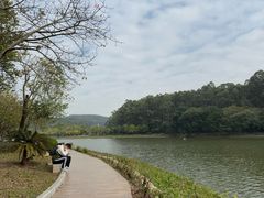 -南国桃园旅游度假区