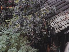 -鱼桥巷·美学川菜