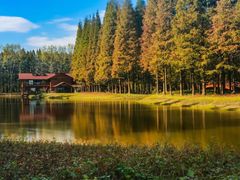 -黄海国家森林公园