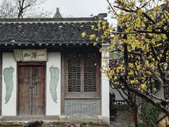 -芥子园