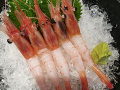 -诚家·日式烧鸟·深夜食堂(虹桥天街店)