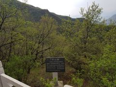 -野三坡百草畔景区