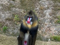 -杭州野生动物世界