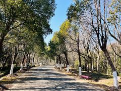 -上海海湾国家森林公园