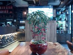 -乌托邦咖啡(武侯祠店)