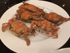 -富力希尔顿酒店·地阔自助餐厅