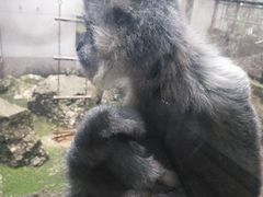 -昆明动物园
