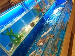 水产区-芭菲盛宴·环球美食(锦城万达广场店)
