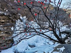 -黑龙潭风景区