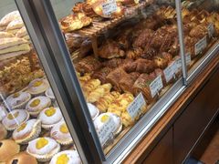 -苹果花园(枫林路店)