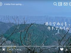 -府君山公园