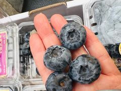 -堤口果品批发市场