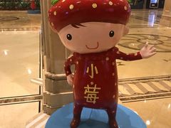 -杭州第一世界大酒店·云曼温泉