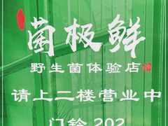 -菌极鲜野生菌火锅店(阳明祠店)