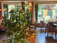 -慢丽江·云南野生菌土鸡锅(付家庄店)