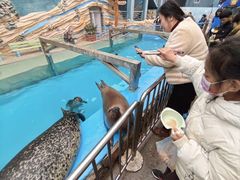 -泉城欧乐堡海洋极地世界