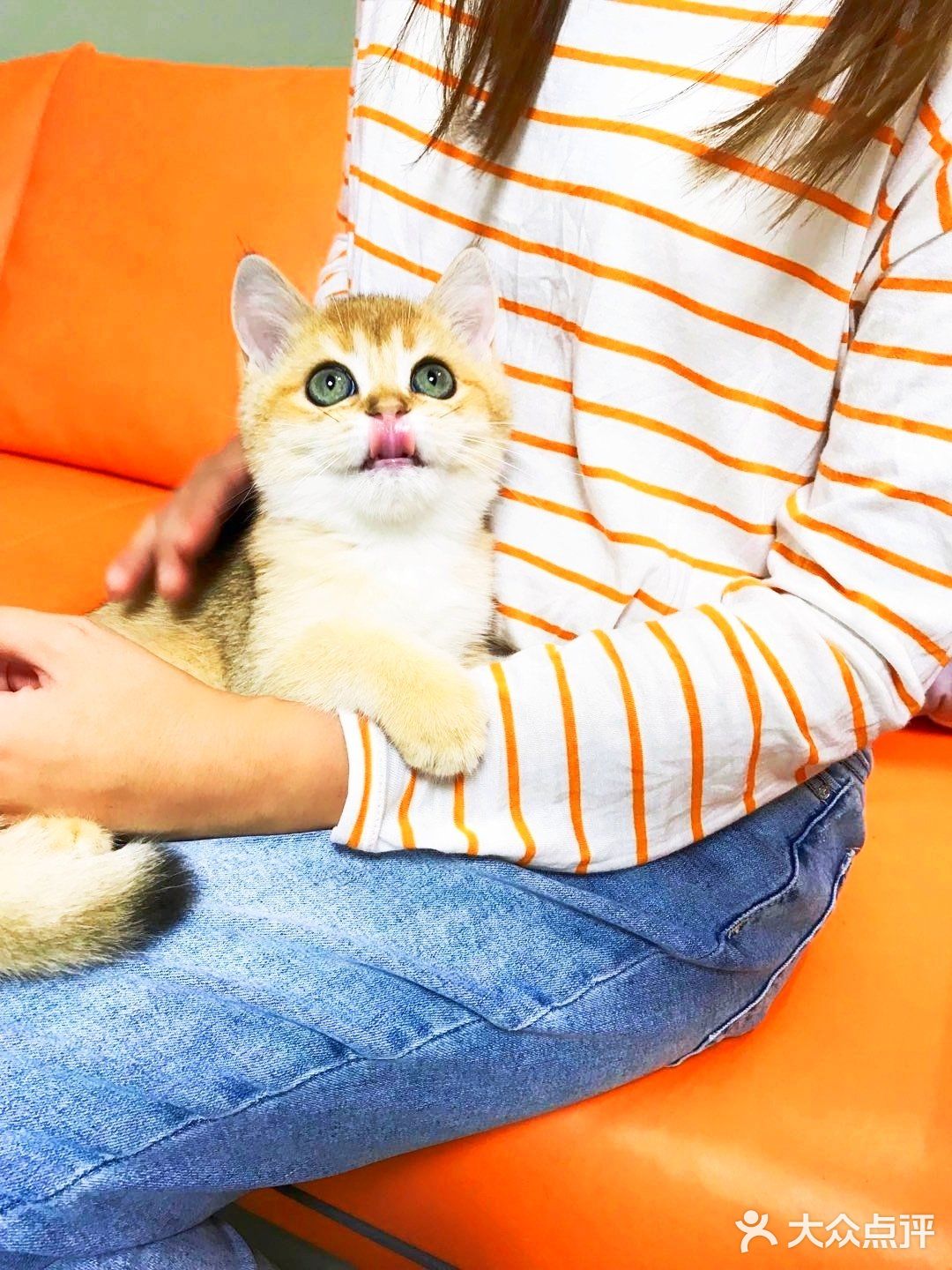 🐱我也变成铲屎官一枚了..小宝贝跟我肥家le…